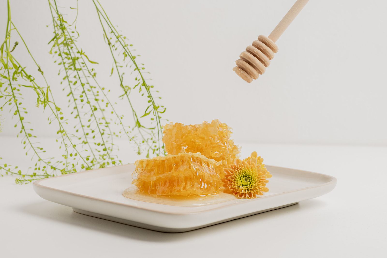 Le miel en rayon : une expérience authentique à découvrir