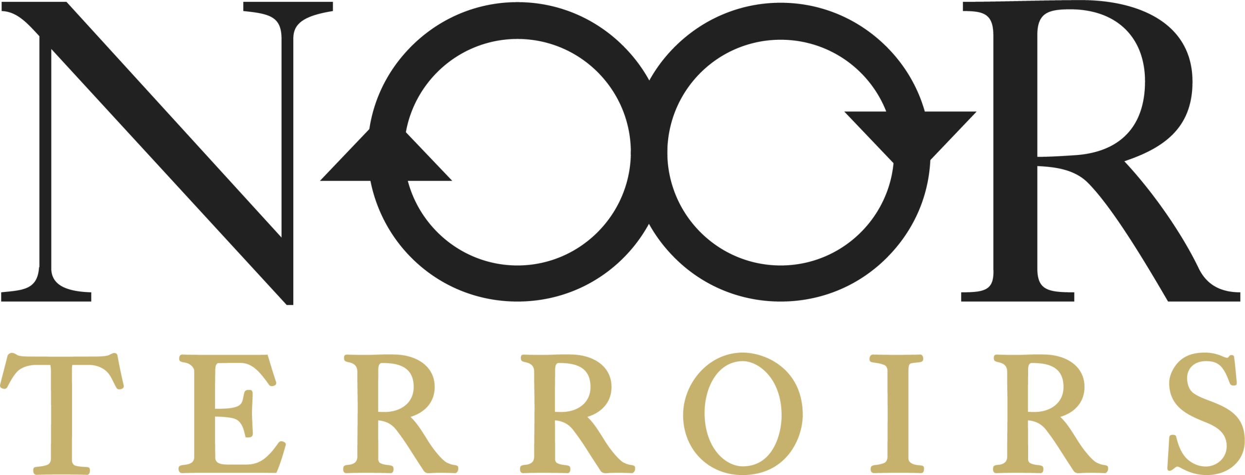 Logo Noor Terroirs